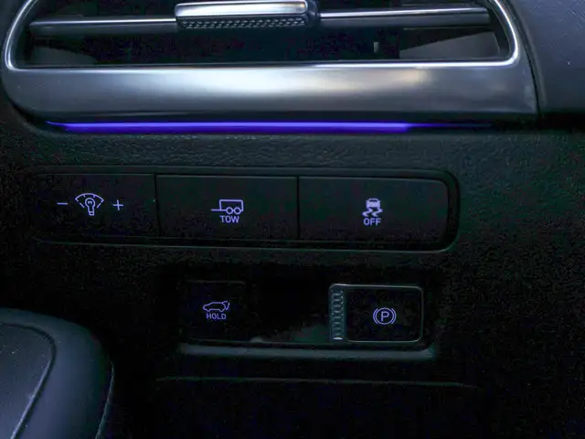 2025 Hyundai Palisade Ultimate Calligraphy Night- Sunroof - Photo 29