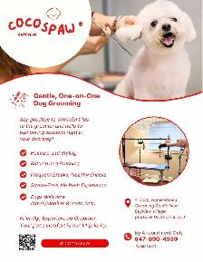 COCO'SPAW  Dog Grooming in Bayview Village,  Northyork