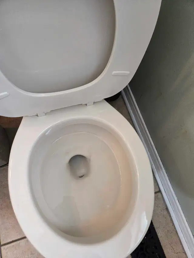 MOVE IN/ MOVE OUT DEEP CLEANING LADY (613) 501-0354 - Photo 3