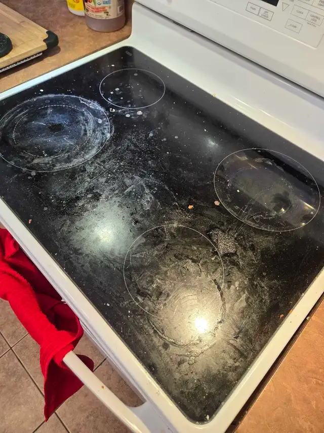 MOVE IN/ MOVE OUT DEEP CLEANING LADY (613) 501-0354 - Photo 4