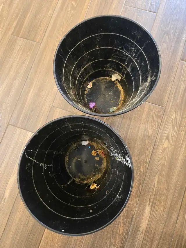 MOVE IN/ MOVE OUT DEEP CLEANING LADY (613) 501-0354 - Photo 6