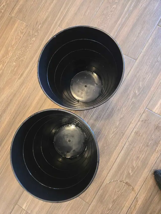 MOVE IN/ MOVE OUT DEEP CLEANING LADY (613) 501-0354 - Photo 7