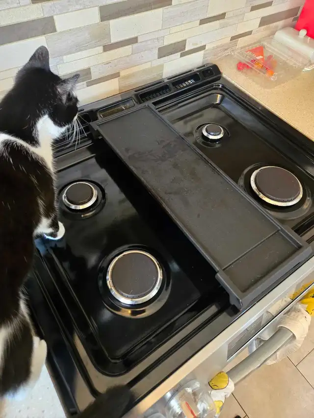 MOVE IN/ MOVE OUT DEEP CLEANING LADY (613) 501-0354 - Photo 9