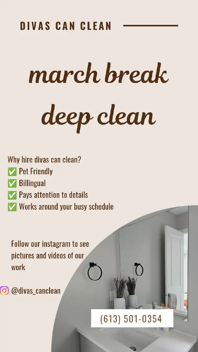 (613) 501-0354 SPRING CLEANING