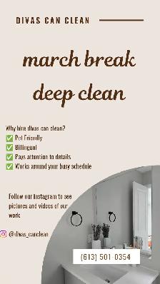 (613) 501-0354 SPRING CLEANING