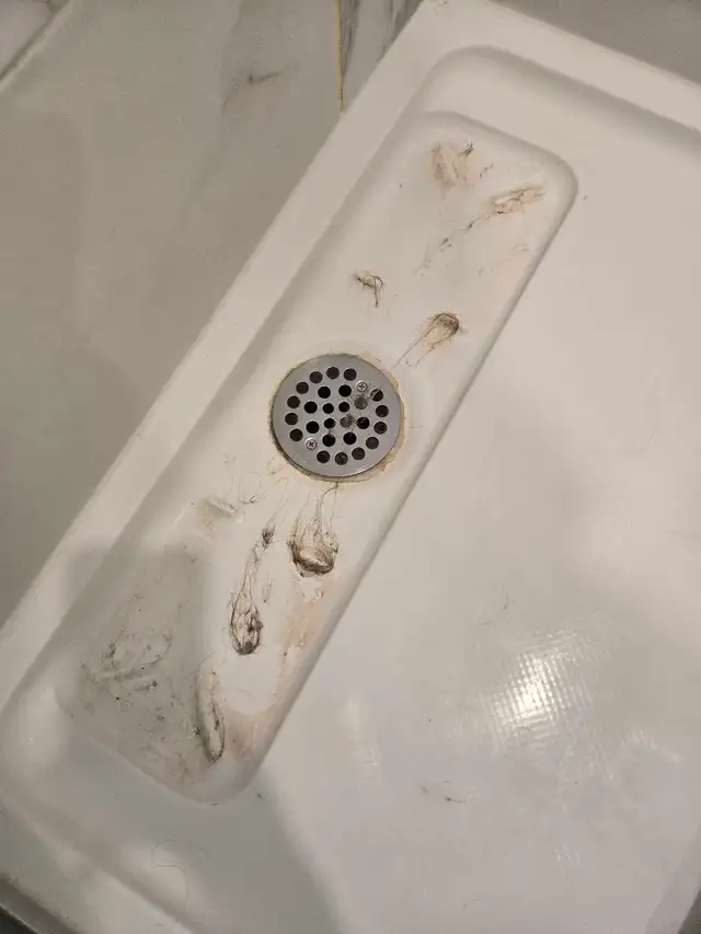 (613) 501-0354 SPRING CLEANING - Photo 2