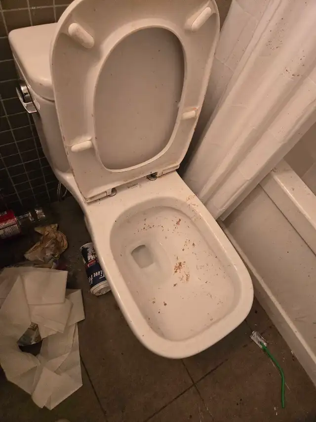 (613) 501-0354 SPRING CLEANING - Photo 4