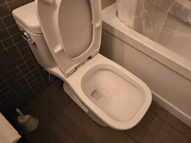 (613) 501-0354 SPRING CLEANING - Photo 5