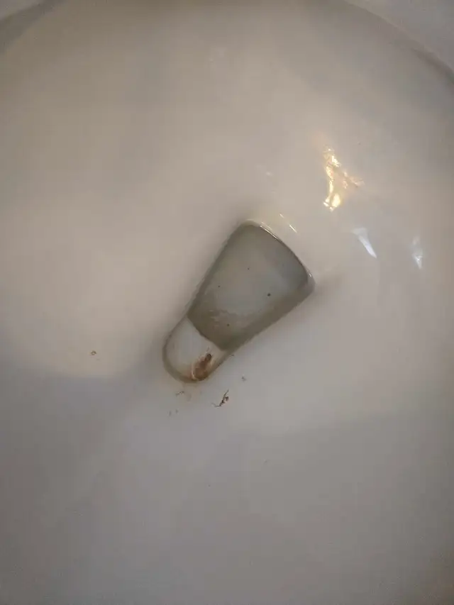 (613) 501-0354 END OF TENANCY CLEANING - Photo 4