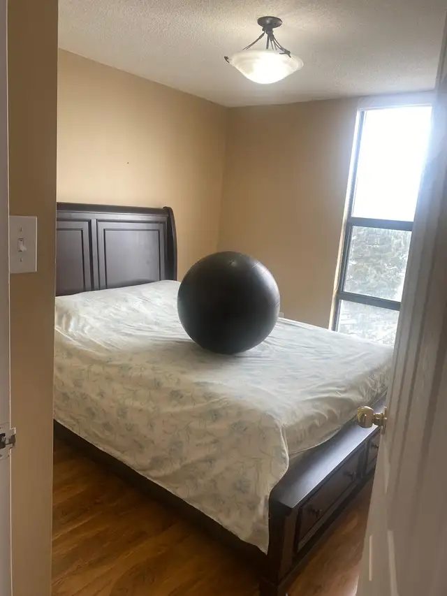 Shared rooms for rent near Bramlea city centre - Photo 5