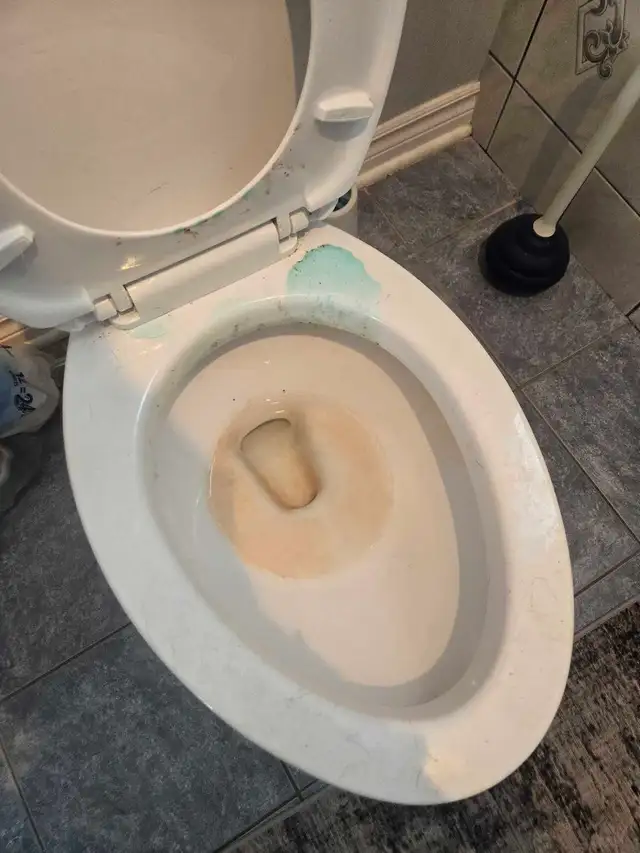 THOROUGH CLEANING SERVICES (613) 501-0354 - Photo 6