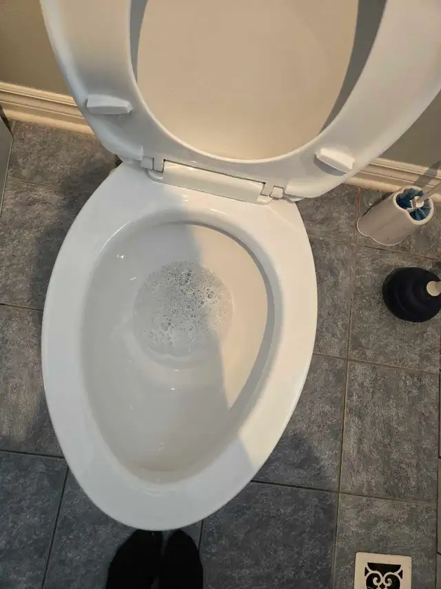 THOROUGH CLEANING SERVICES (613) 501-0354 - Photo 7