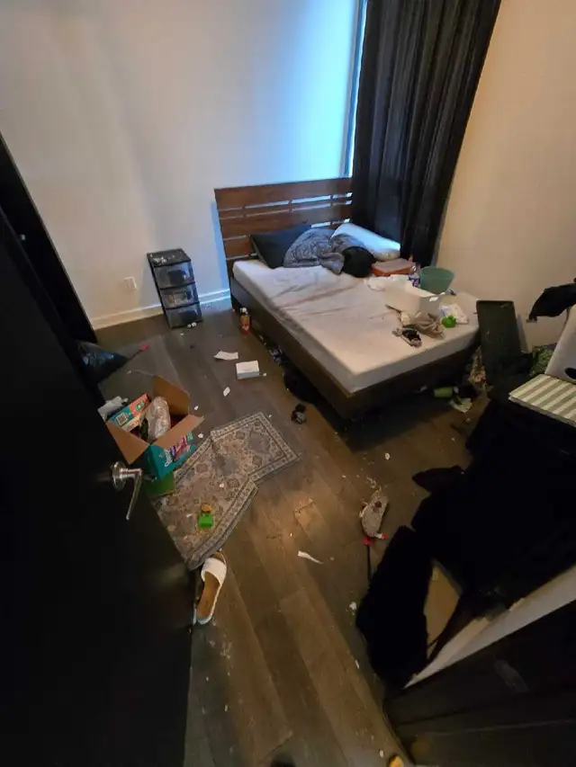 THOROUGH CLEANING SERVICES (613) 501-0354 - Photo 8