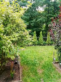 Small Bachelor Studio in East of Oakville $935 Only - Photo 9