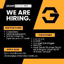 Hiring Carpenters & Labourers