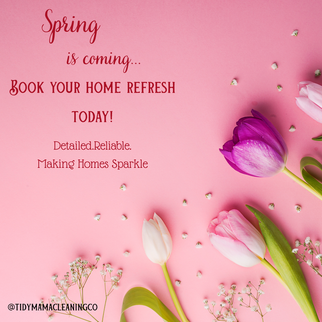 Reliable Independent Cleaning Services - Photo 2