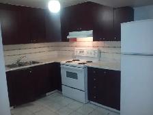 2-Bedroom Basmnt- Private Entrance,  Mt Joy, GO Station, Markham - Photo 7