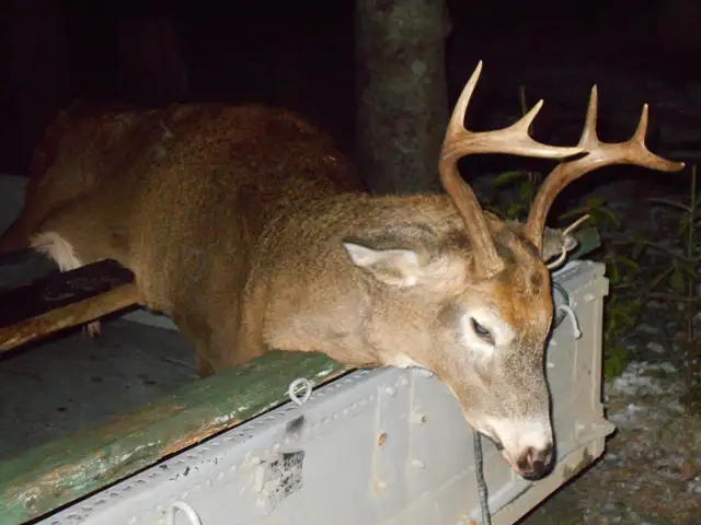 CHALET a Vendre Ham SUD - Photo 8