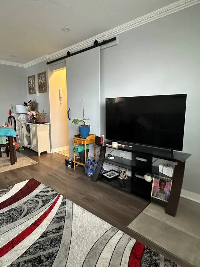 TWO BEDROOM APARTMENT CENTRALLY LOCATED IN OTTAWA APRIL MAY 2026 - Photo 3