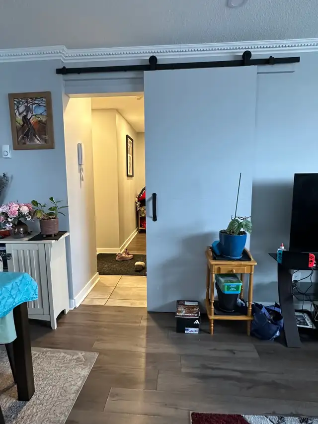 TWO BEDROOM APARTMENT CENTRALLY LOCATED IN OTTAWA APRIL MAY 2026 - Photo 4