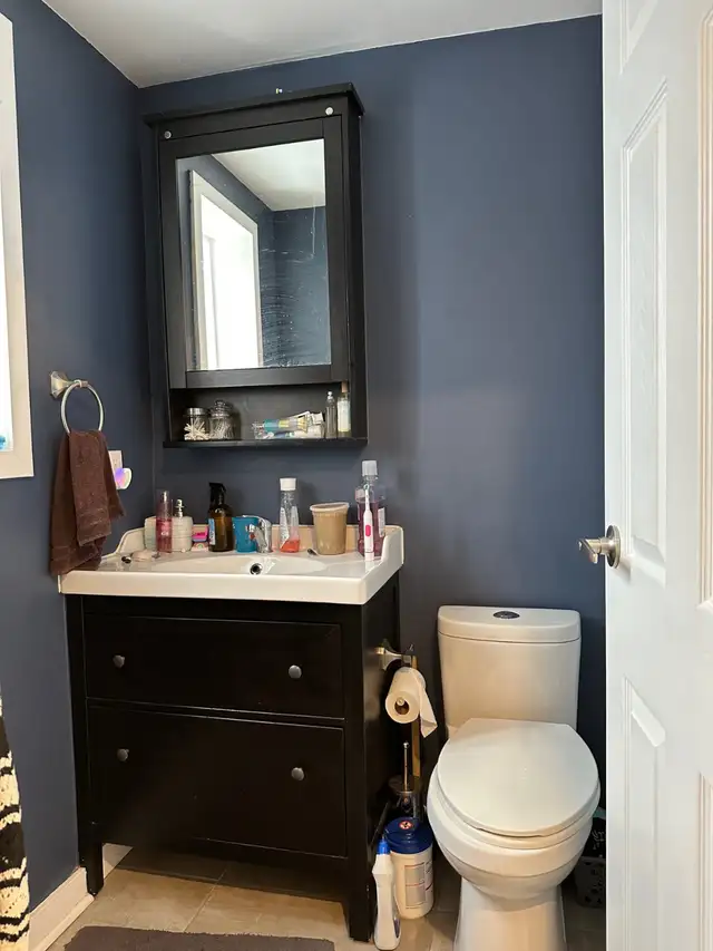 TWO BEDROOM APARTMENT CENTRALLY LOCATED IN OTTAWA APRIL MAY 2026 - Photo 9