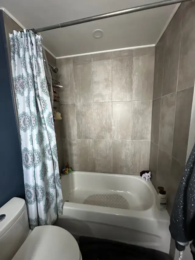 TWO BEDROOM APARTMENT CENTRALLY LOCATED IN OTTAWA APRIL MAY 2026 - Photo 10