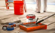 Professional Painter's