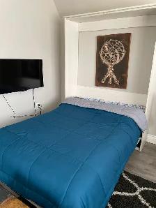 $1500 All-Inclusive Cozy Furnished Bachelor – Avail. Apr 1st. - Photo 3