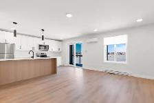 Modern 1 Bed & 2 Bed Apartments for Rent in Steinbach!