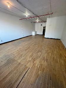 Office for rent/Bureaux à louer Plateau Mont-Royal 1000 ft²/pi² - Photo 2