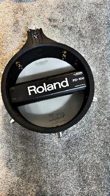roland pd100