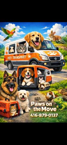 Animal transport GTA plus