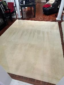 Carpet Cleaning - Photo 4