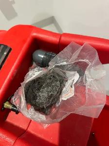 Carpet Cleaning - Photo 10