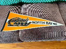 Sports Pennants - Photo 6