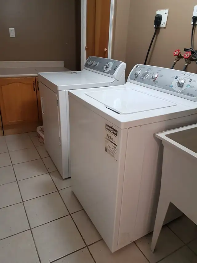 One Bedroom Basement Near Airport Rd / Sandalwood - Brampton - Photo 6