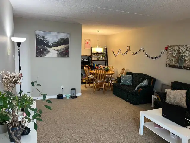 1 bedroom apartment available April 1 - Photo 2