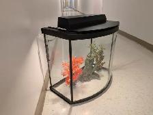 Aquarium 27 gallons avec vitre avant bombée - Photo 2