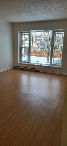 MAIN FLOOR ONE BEDROOM  with Immediate Occupancy