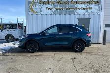 2020 Ford Escape Titanium Hybrid AWD - Photo 8