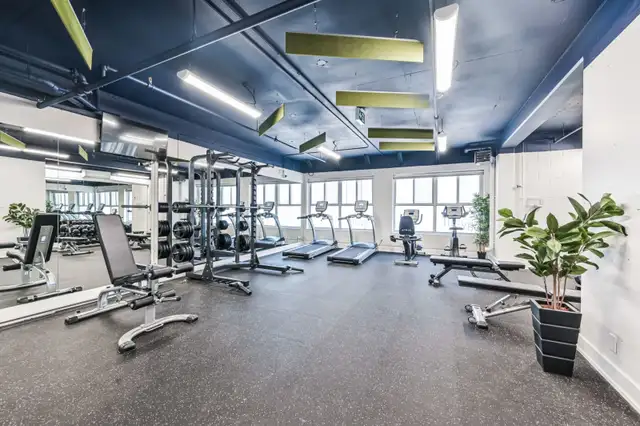 Downtown Toronto Apartment Room for Summer Student - Photo 9