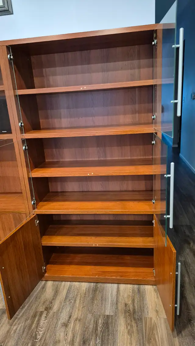 Living Room Shelving Unit $500 obo - Photo 2