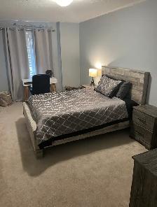 Basement Room Available for Rent April 1st