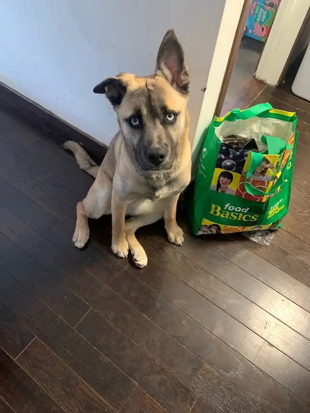 18 Year Old Worker - Photo 2