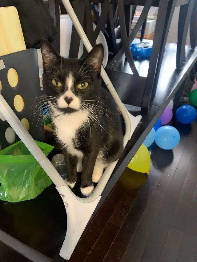 18 Year Old Worker - Photo 3