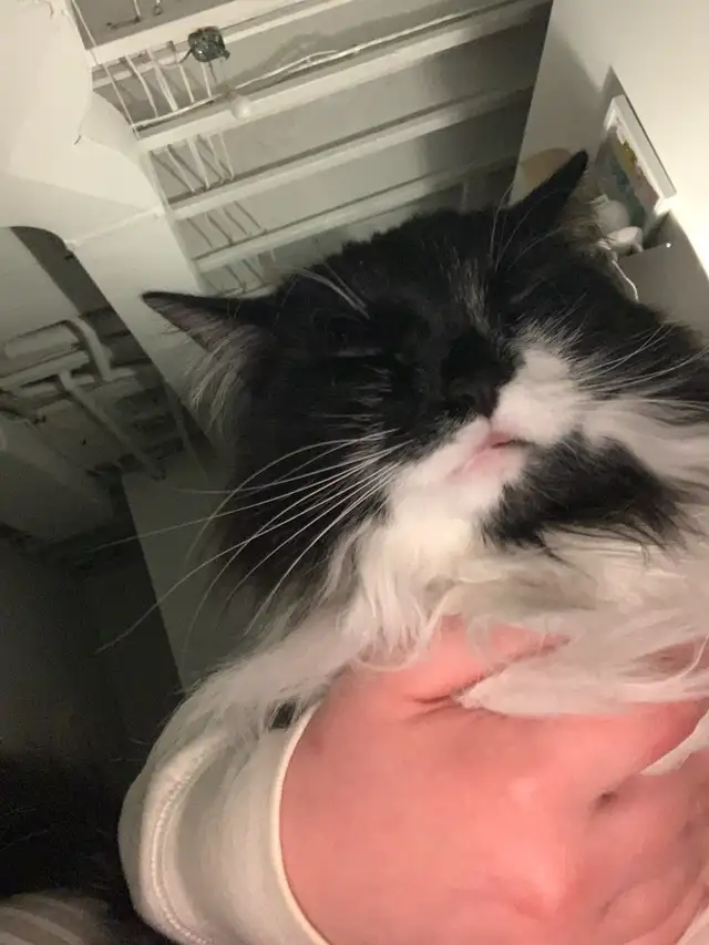 18 Year Old Worker - Photo 4