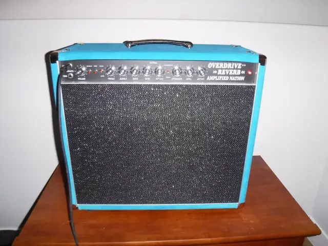 Amplified Nation Overdrive Reverb Dumble Combo Amp - Photo 3