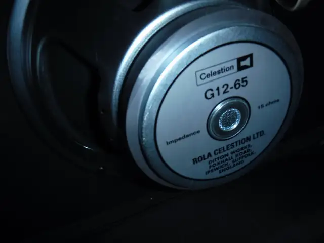 Amplified Nation Overdrive Reverb Dumble Combo Amp - Photo 6