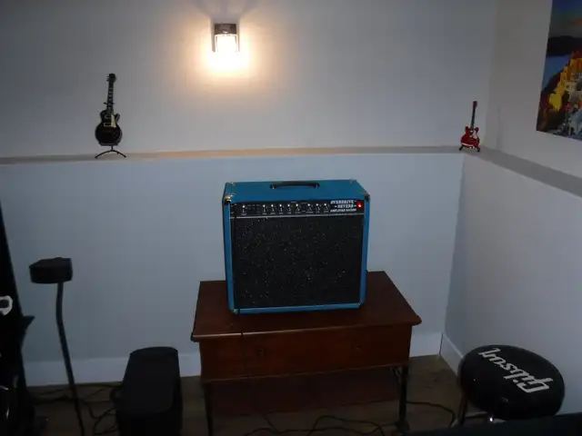 Amplified Nation Overdrive Reverb Dumble Combo Amp - Photo 10