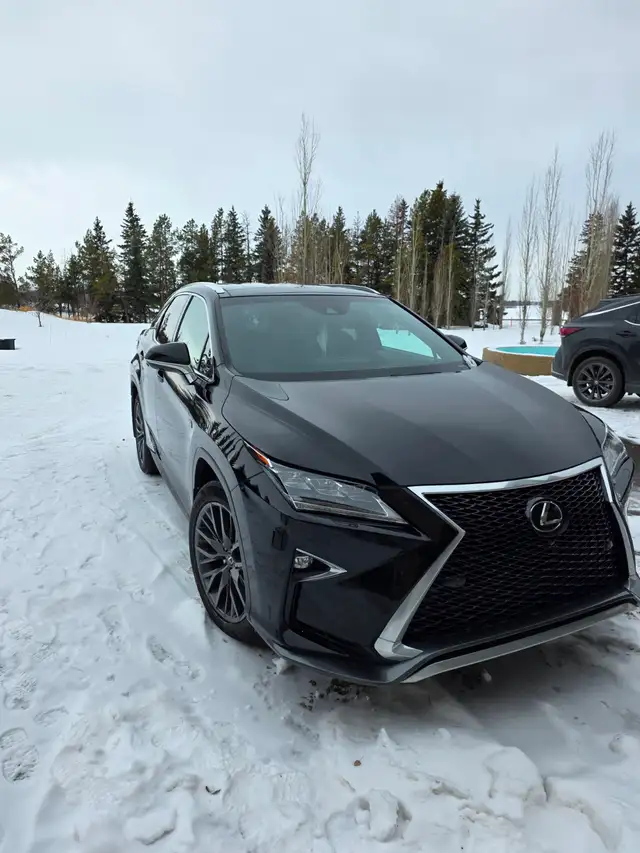 2018 RX 350 F Sport Series 3 For Sale - Photo 10